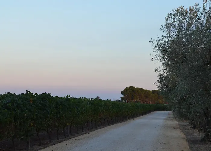 Masseria Montedoro 农家乐